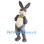 Digital D Photography Mascot Costume