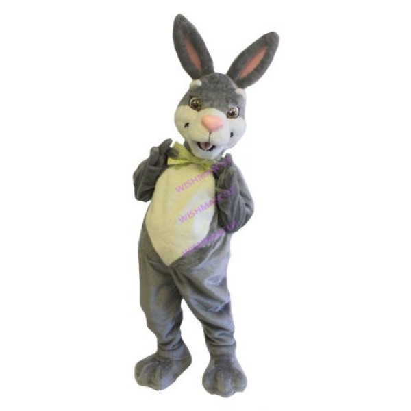 Digital D Photography Mascot Costume