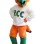 Orange Hawk Mascot Costume