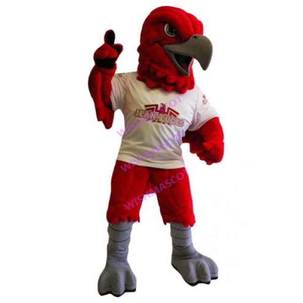 Jean Eudes College Mascot Costume