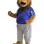 lion Mascot Costume