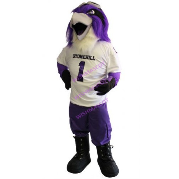 Stonehill Mascot Costume