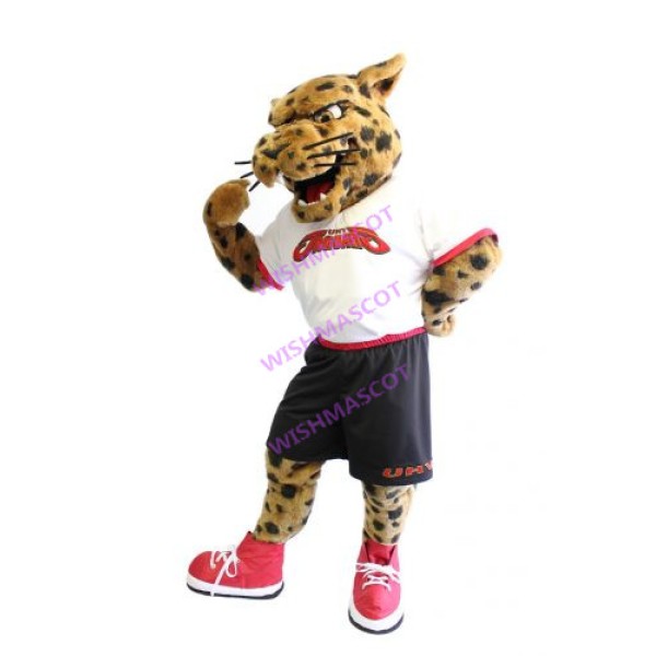 University of Houston Victoria Mascot Costume