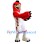 Western Canada High School Mascot Costume