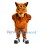 Fayetteville Marksmen  Marky Marksmen Mascot Costume