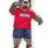 Banff Lodging Co Bear Mascot Costume