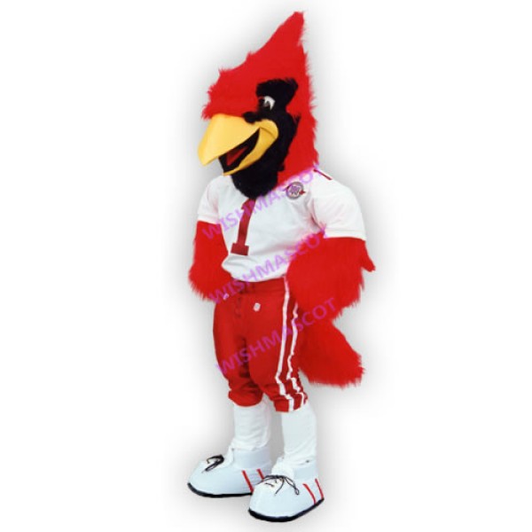 Arizona Cardinals Mascot Costume