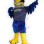 Heartland Mascot Costume