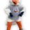 San Diego Gulls Mascot Costume