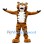 Dalhousie University Tiger Mascot Costume