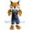 UC  Merced Mascot Costume