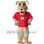  ACAC Fitness And Wellness  Ace Mascot Costume