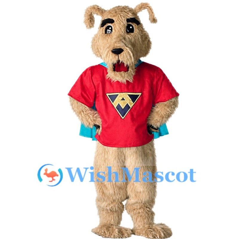  ACAC Fitness And Wellness  Ace Mascot Costume