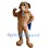 Avista Wattson Mascot Costume