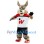 University of Winnipeg Mascot Costume