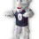 Green Bay Blizzard Mascot Costume