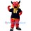 New York Dragons Mascot Costume