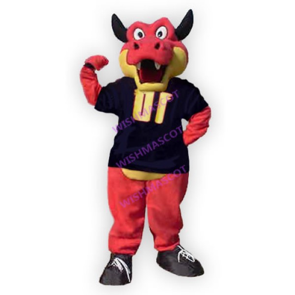 New York Dragons Mascot Costume