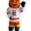 Spectrum Community School Mascot Costume