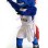 Fairleigh Dickinson Mascot Costume