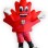 Celebrate Canada AB Mascot Costume