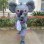 Boisterous Huge Koala Mascot Costume