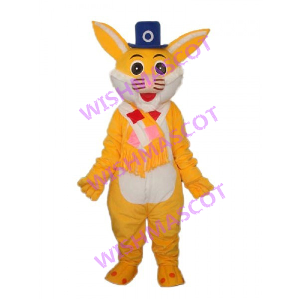 Sociable Ambassador Cat Mascot Costume