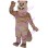 Free Content Squirrel Mascot Costume