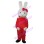 Pretty Bunny With Red Set Mascot Costume