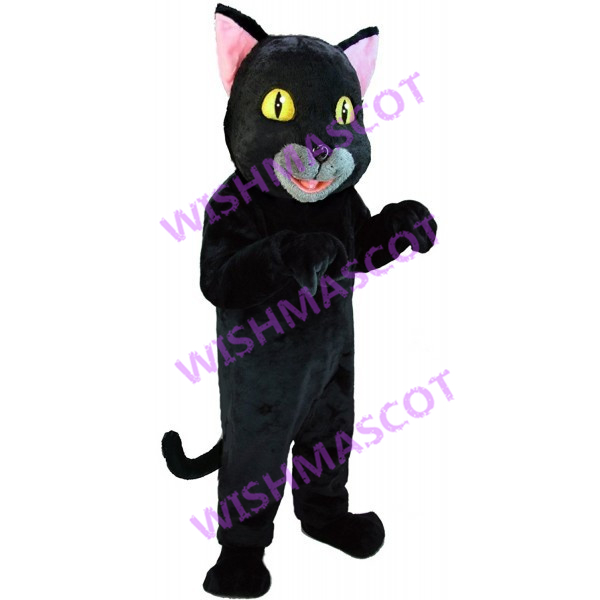 Loyal Cat With Gray Mouth Mascot Costume