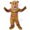 Childish Shorthair Lion Mascot Costume