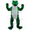 Adult Frog With Agile Posture Mascot Costume