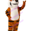 Dazed Observing Tiger Mascot Costume