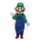 Luigi Mario In Green Set Mascot Costume