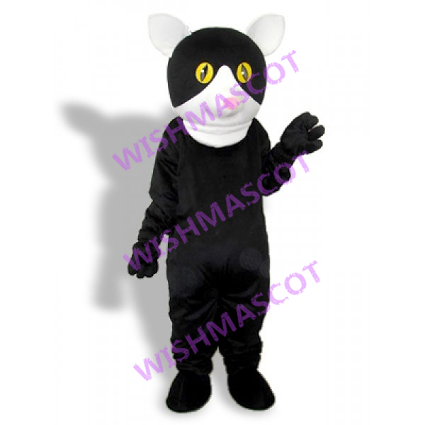 Spiritual Black Cat Mascot Costume