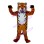 Sturdy Elder Tiger Mascot Costume