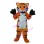 Funny Cartoon Little Tiger Mascot Costume