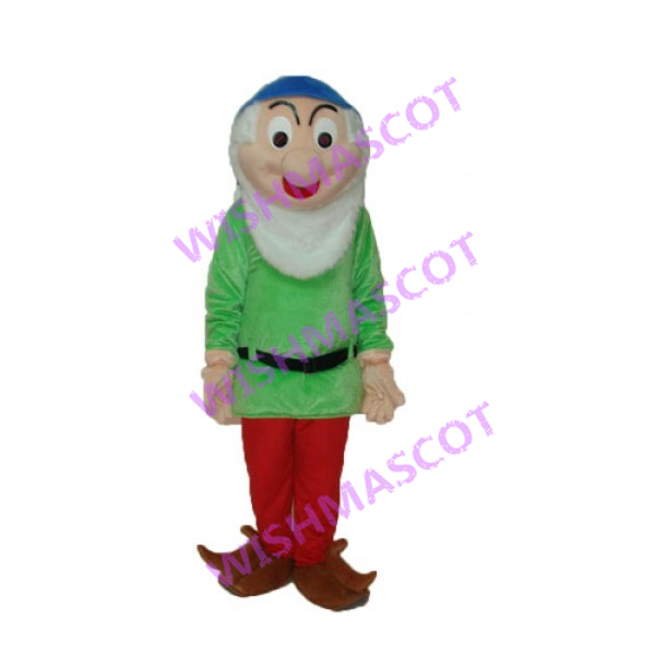 Smart Green Dwarf Mascot Costume
