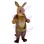 Brave Strong Mother Kangaroo Mascot Costume