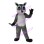Raccoon Catching Own Tail Mascot Costume