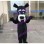 Blue-eyed Dog With White Eyebrow Mascot Costume