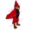 Grumpy Red & Black Eagle Mascot Costume