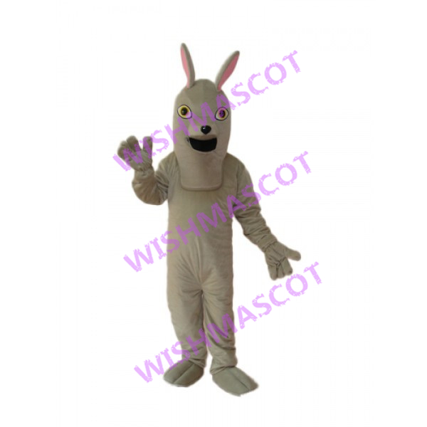 Gray Dog Mascot Costume With Long Head