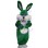 Lovely Green Bunny Mascot Costume 