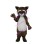 Raccoon Mascot Costume 