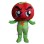 Cartoon Tomato Boy Mascot Costume 