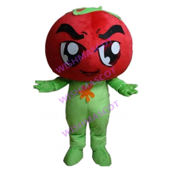 Cartoon Tomato Boy Mascot Costume 
