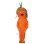Funny Cartoon Carrot Mascot Adult Costume 