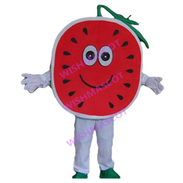 Adult Cartoon Round Watermelon Mascot Costume 