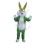 Green Bugs Bunny Mascot Adult Costume 